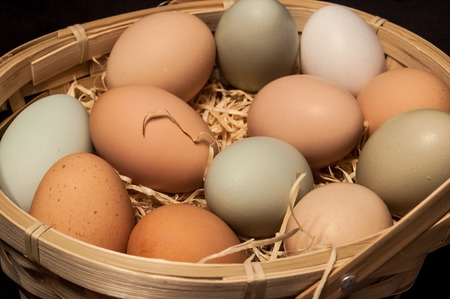 Farm fresh eggs in a basket