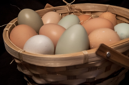 Farm fresh eggs in a basketの写真素材