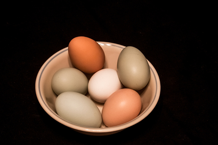 Farm fresh eggs in a bowlの写真素材