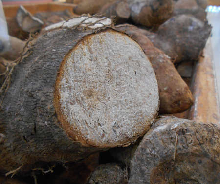 A pile of yam at a marketの写真素材