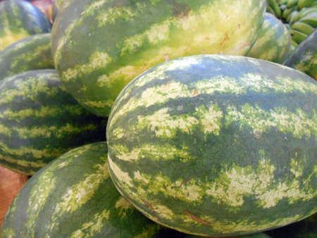 Watermelons in pileの写真素材