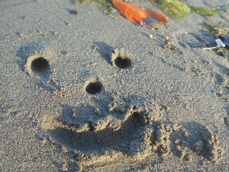 Smiling happy face on beach sandの写真素材