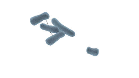 Blue bacteria cells closeup isolated on white 3d render