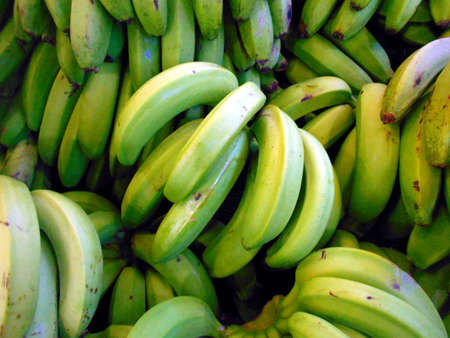 Bundle of bana in the market to be soldの写真素材