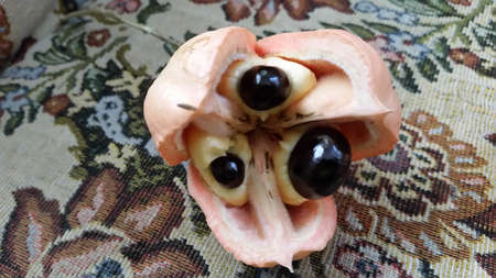 Ackee and callaloo breakfastの写真素材