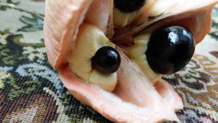 Ackee and callaloo breakfastの写真素材