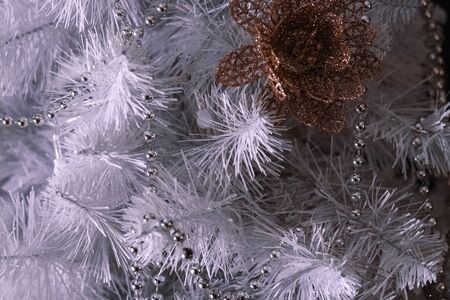 white christmas tree branch with cone, closeupの写真素材