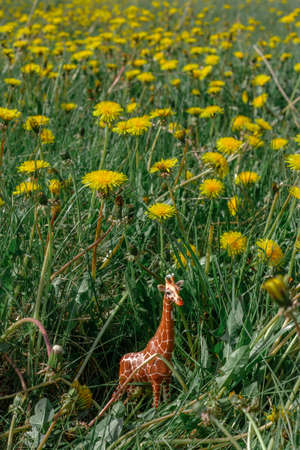 toy realistic giraffe surrounded by flowersの写真素材