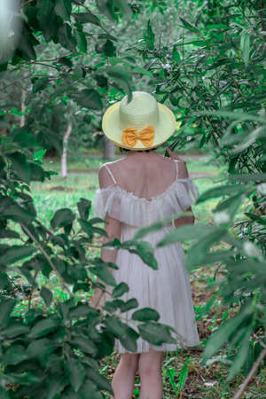 girl in white dress and straw hat on a walk in natureの写真素材