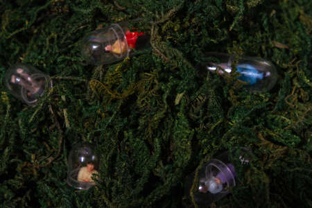 miniature people drown in moss. Nature consumes people. Man and nature theme.の写真素材