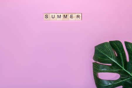 Top view summer lettering of alphabet wooden blocks on pink background with leaf of monstera