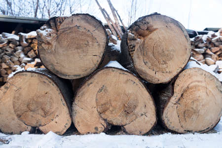 Stacks of Firewood. Preparation of firewood for the winter. Pile of Firewood.Firewood backgroundの写真素材