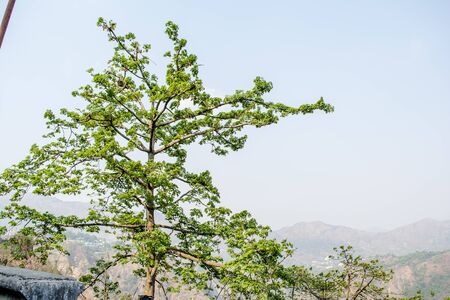 Beautiful Bhimtal Lake is a lake in the town of Bhimtal, in the Indian state of Uttarakhandの写真素材
