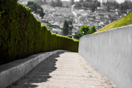 botanical garden and rose garden of Ooty Tamil Nadu
