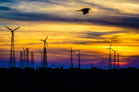 Windmills in Jaisalmer desert area, view from Bara bagh Jaisalmer, Rajasthan Indiaの写真素材