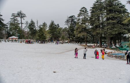 Patnitop a city of Jammu and its park covered with white snow, Winter landscape