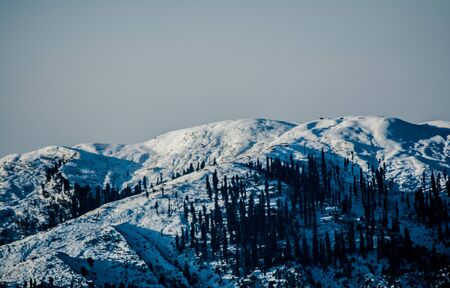 Patnitop a city of Jammu and its park covered with white snow, Winter landscapeの写真素材