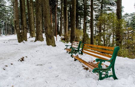 Patnitop a city of Jammu and its park covered with white snow, Winter landscapeの写真素材