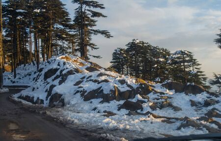 roads covered by snow between mountains of Patnitop and nathatop Jammu