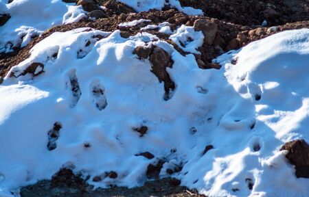 Natural winter background with fresh snow texture at Nathatop, Patnitop Jammuの写真素材
