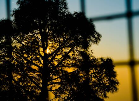 Beautiful Sunset view from mata Vaishnodevi darbar katra Jammuの写真素材