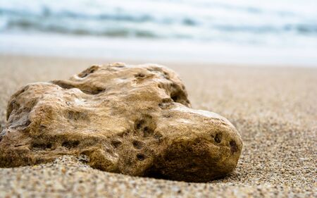 coral and sea-shell at sea beach of somnath temple of somnath Gujarat Indiaの写真素材