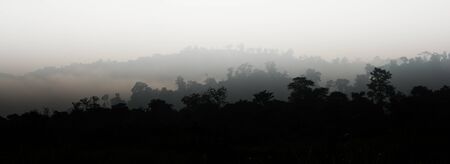 Evergreen rainforest mountains captured during an early foggy morning at Kaziranga National Park, Assam, Northeast, India.の写真素材