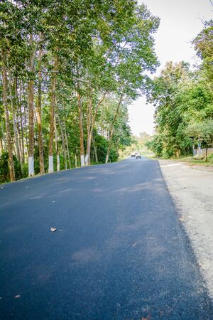 National highway in Kaziranga, Golaghat,  Assamの写真素材