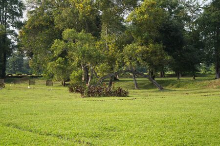 Talatal Ghar, Talatal Ghar is located in Rangpur, Sivasagar, Assam. Grandest examples of Tai Ahom architectureの写真素材