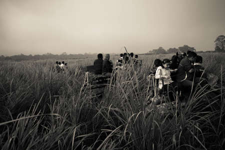Kaziranga, Assam, India on 14 Nov 2014 - Tourists enjoying elephant Safari in the lush green forests of Kaziranga National Park, Assam, Northeast, Indiaのeditorial素材