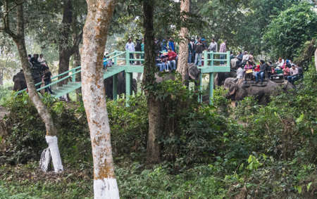 Kaziranga, Assam, India on 14 Nov 2014 - Tourists enjoying elephant Safari in the lush green forests...