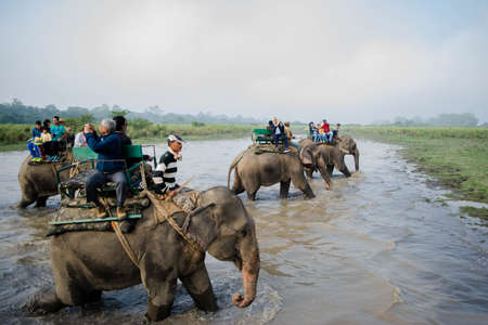 Kaziranga, Assam, India on 14 Nov 2014 - Tourists enjoying elephant Safari in the lush green forests of Kaziranga National Park, Assam, Northeast, Indiaのeditorial素材