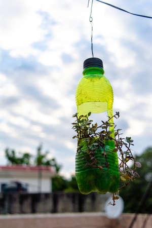 hanging flower pot of plastic bottle, with some phulwari in it, isolated, copy space. A hanging garden.の写真素材