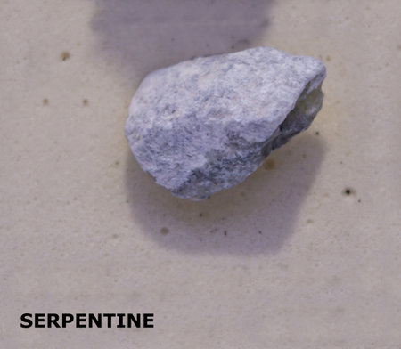 Isolated sample of a Serpentine rock on texture background. Serpentine Metamorphic Rock sample....