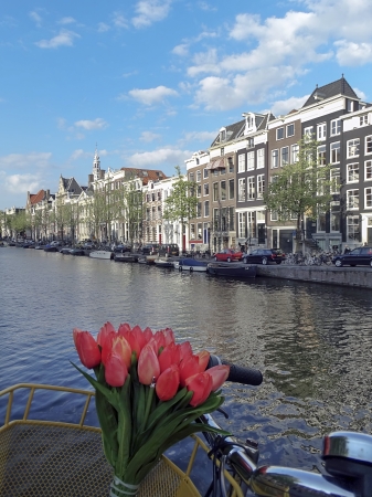 Amsterdam, Holland, 9 May 2013, Tulips and canal of Amsterdamのeditorial素材
