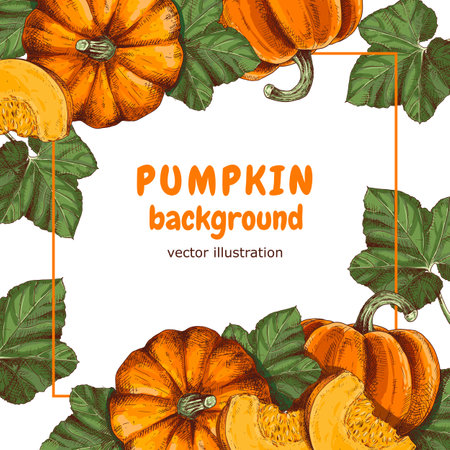 Background with colorful hand drawn pumpkins and leaf pumpkins. Free space for text. vector illustration.のイラスト素材