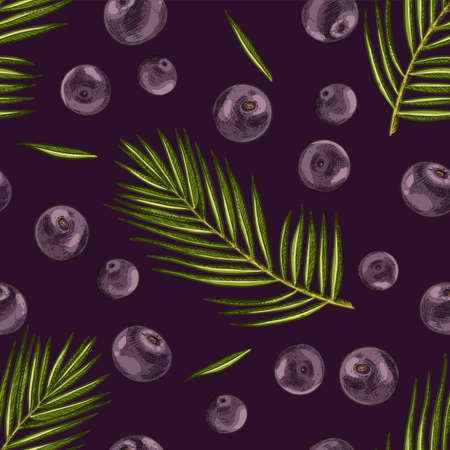 Hand drawn colorful acai. Vector seamless pattern of acai with leaves and berries. superfood. For kitchen design, food packaging, textiles.のイラスト素材