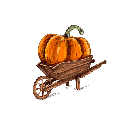 Hand drawn farmer wooden cart with pumpkin. Farm fresh delivery design template. Vector illustration isolated on white background.のイラスト素材