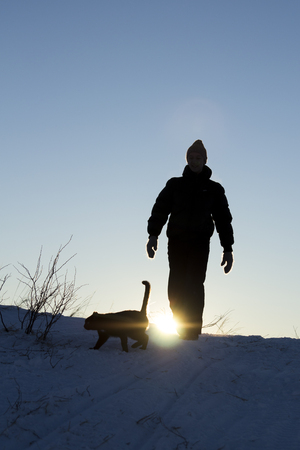 Silhouettes of cat and manの写真素材