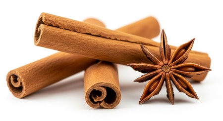 A close-up shot showcases the warm, inviting textures of cinnamon sticks and a single star anise, highlighting their natural beauty and aromatic potential for culinary uses.の素材