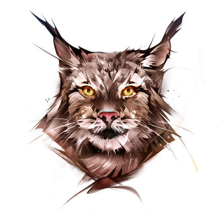 drawn bright color portrait of an animal muzzle of a lynx