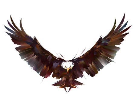 drawn colored bright bird eagle in flight on a white background