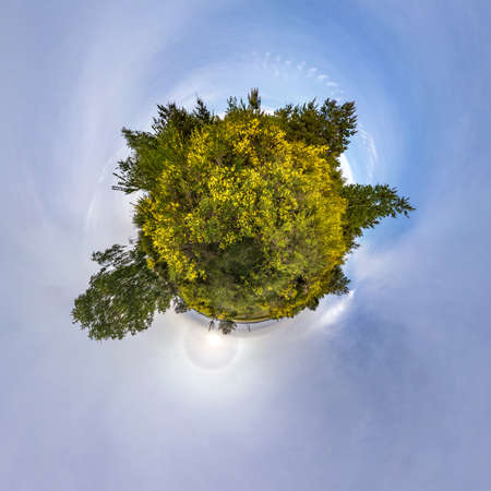 green tiny planet in blue sky with beautiful clouds. Transformation of spherical panorama 360 degrees. Spherical abstract aerial view. Curvature of space.の写真素材