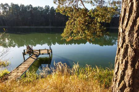 wooden pier on lake in autumn forest in eveningの写真素材