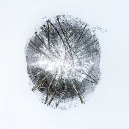 Winter tiny planet in snow covered forest. transformation of spherical panorama 360 degrees. Spherical abstract aerial view in forest. Curvature of space.の写真素材