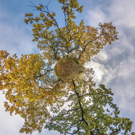 tiny planet transformation of spherical panorama 360 degrees. Spherical abstract aerial view in oak...