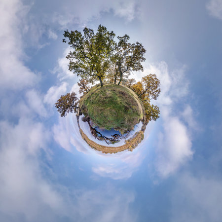tiny planet transformation of spherical panorama 360 degrees. Spherical abstract aerial view in oak grove with clumsy branches in gold autumn. Curvature of space.の写真素材