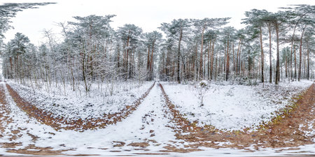Winter full spherical hdri panorama 360 degrees angle view on dirt road in a snowy forest with gray...