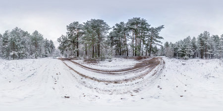 Winter full spherical hdri panorama 360 degrees angle view on dirt road in a snowy pinery forest...