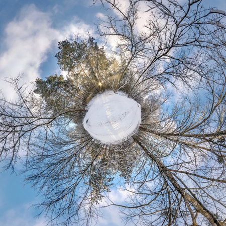 Winter tiny planet in snow covered forest in blue sky. transformation of spherical panorama 360...